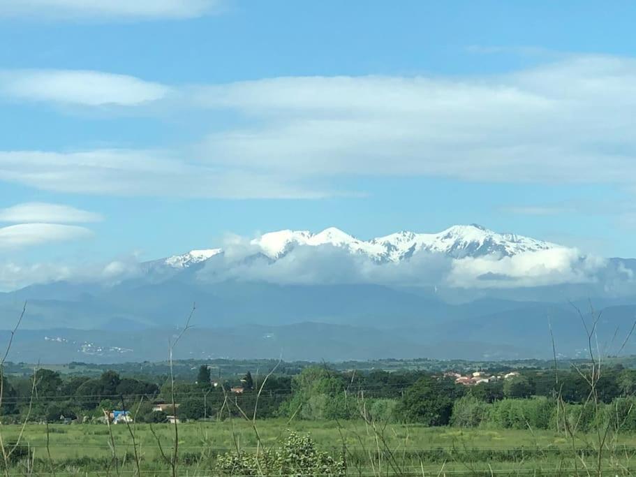 Maison Calme Dans Village Typique Du Sud 4 Etoiles Palau-del-Vidre ภายนอก รูปภาพ